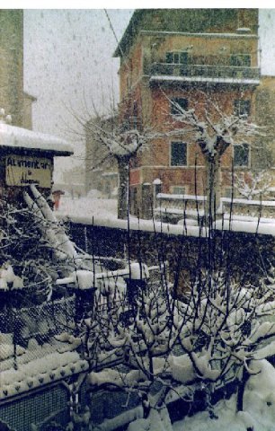 Neve a Guarcino 1986